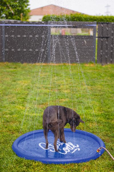 Sprinklermatte - verschiedene Größen